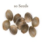 10 Seeds