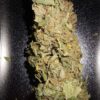 Banana Monkey Feminized - Image 6