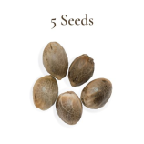 5 Seeds