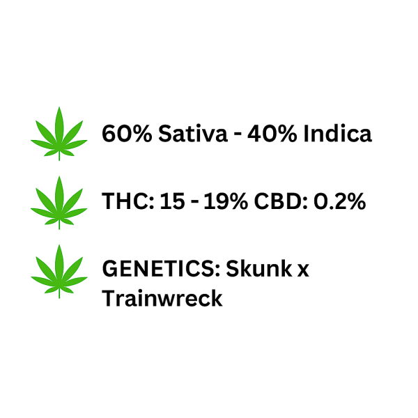 Green Candy Feminized Seeds - Image 2