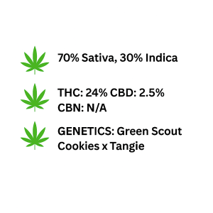 ChatGPT Image Nov 8, 2025, 02_13_42 PM