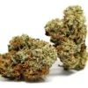 Tropical Coconut Feminized - Image 6