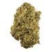 durban-poison (2)