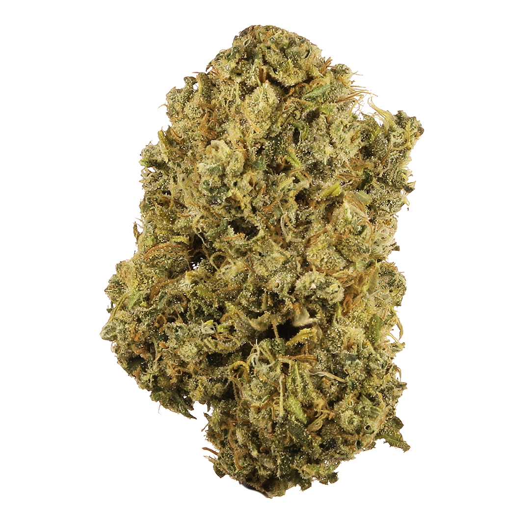 Dubai Poison Feminized Seeds - Image 3