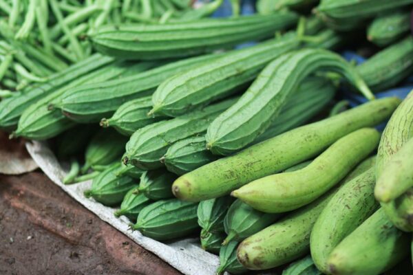 Angled Luffa