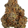 Purple Haze Feminized - Image 7