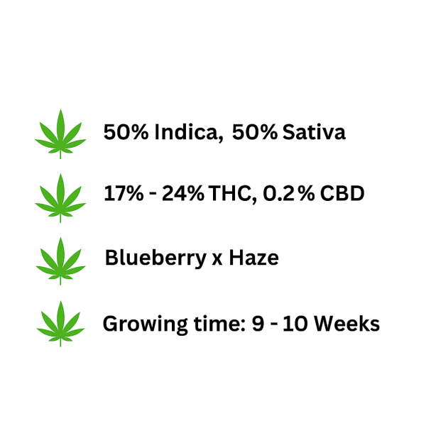 ChatGPT Image Nov 8, 2025, 02_35_35 PM