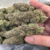 Auto Blue Dream Feminized - Image 6