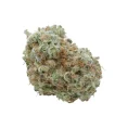 white-widow