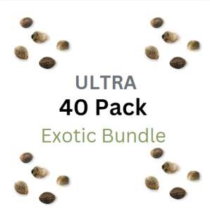 ULTRA Exotic Bundle Pack - Feminized Cannabis Seeds