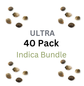 ULTRA Indica Bundle Pack - Fem & Auto Fem Cannabis Seeds