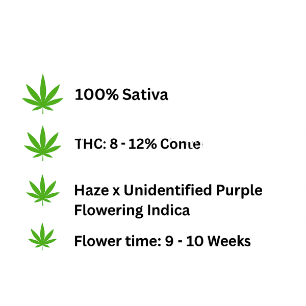 ChatGPT Image Nov 8, 2025, 03_27_39 PM