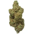 Durban_Poison_Indoor_THCA_Flower
