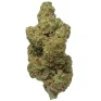 Durban_Poison_Indoor_THCA_Flower
