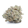 Super-Skunk_Ororojo_Theory-Wellnes