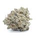 Super-Skunk_Ororojo_Theory-Wellnes
