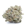 Super-Skunk_Ororojo_Theory-Wellnes