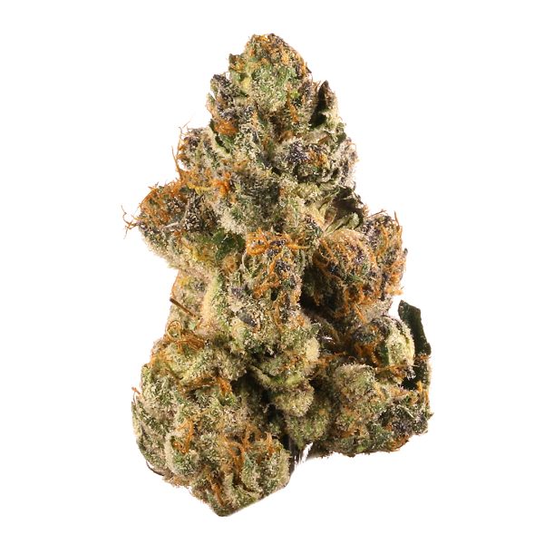 gelato gelato