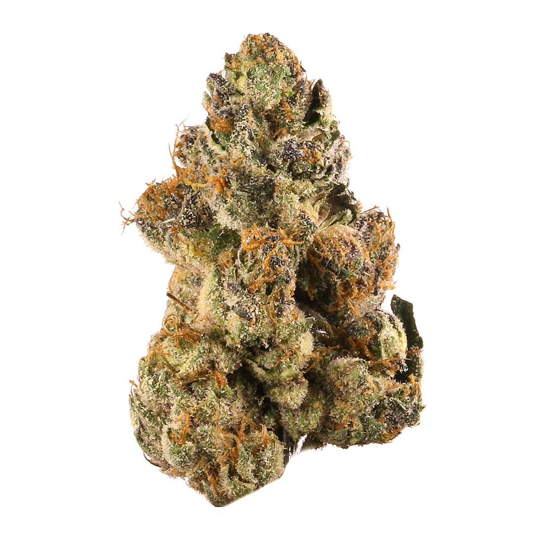 Gelato Samba Feminized Seeds - Image 4