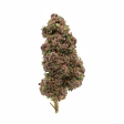 purple-haze-fleur-outdoor-cbd