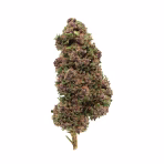 purple-haze-fleur-outdoor-cbd