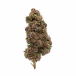 purple-haze-fleur-outdoor-cbd