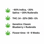 ChatGPT Image Nov 8, 2025, 03_59_39 PM