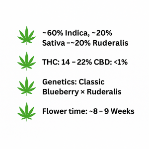 ChatGPT Image Nov 8, 2025, 03_59_39 PM