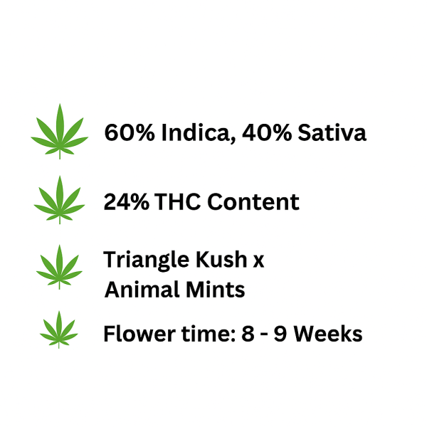 ChatGPT Image Nov 8, 2025, 02_59_52 PM