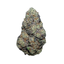 2240-lime-skunk
