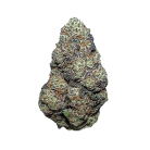 2240-lime-skunk