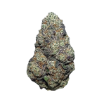 2240-lime-skunk
