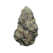 2240-lime-skunk