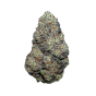 2240-lime-skunk