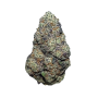 2240-lime-skunk