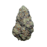 2240-lime-skunk