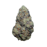 2240-lime-skunk