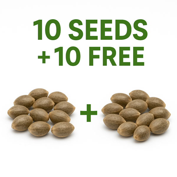 ChatGPT Image Dec 6, 2025, 02_14_46 PM ChatGPT Image Dec 6, 2025, 02_14_46 PM