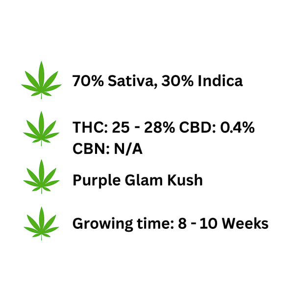 ChatGPT Image Nov 8, 2025, 02_43_29 PM ChatGPT Image Nov 8, 2025, 02_43_29 PM