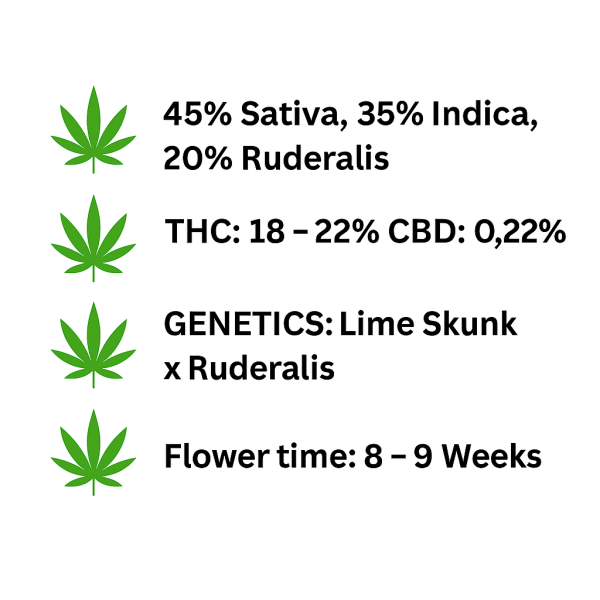 ChatGPT Image Nov 8, 2025, 03_35_35 PM