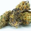 How-to-Rehydrate-Marijuana-to-Perfection-1