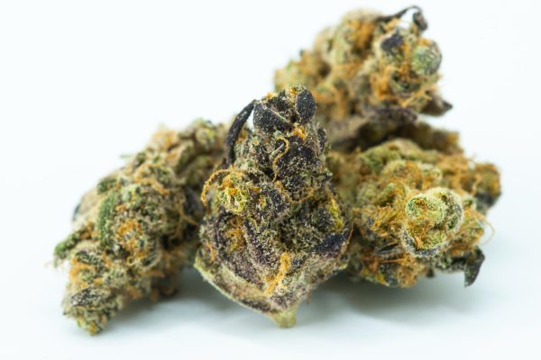 How-to-Rehydrate-Marijuana-to-Perfection-1