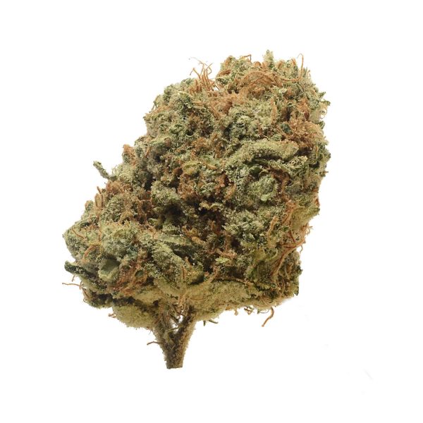 amsterdam_genetics_critical_mass_regular_product_image amsterdam_genetics_critical_mass_regular_product_image