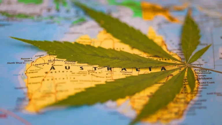 Buying Cannabis Seeds in NSW, QLD, VIC & Other States