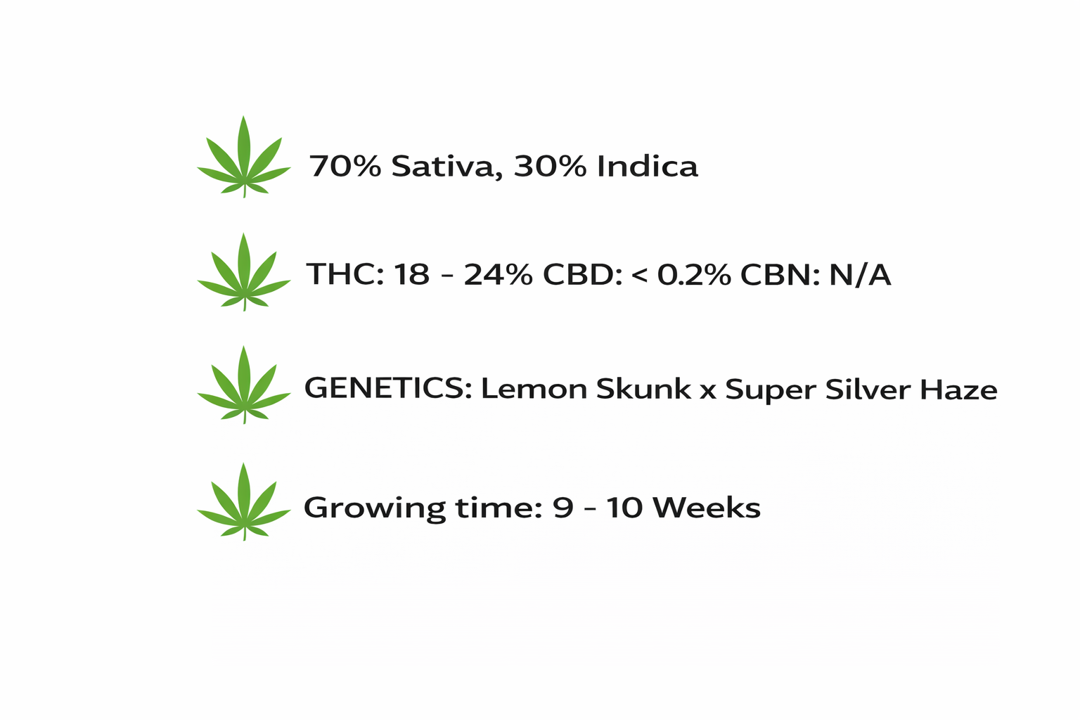 Super Lemon Haze Feminized Seeds - Image 2