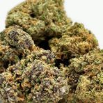 LemonGlue3 (1)