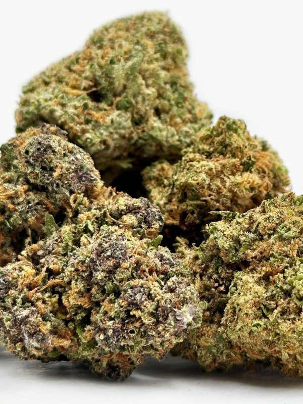 LemonGlue3 (1)