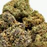 LemonGlue3 (1)
