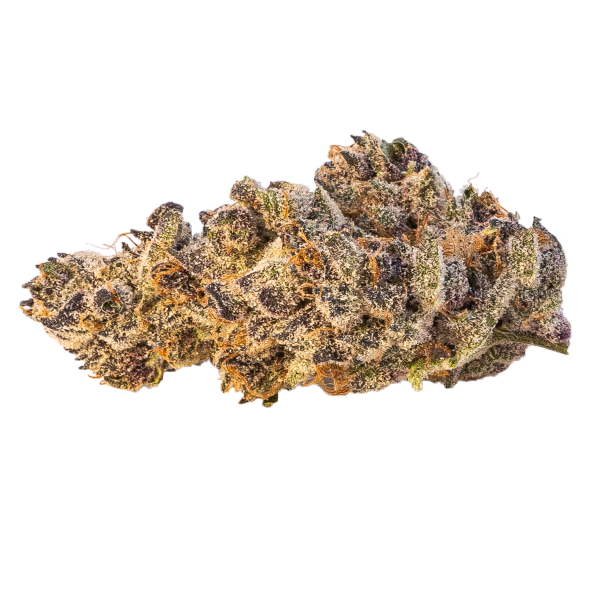 Tropicana-Cookies-1 Tropicana-Cookies-1