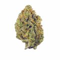 super-lemon-haze-strain-leafy